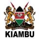 Kiambu County Government